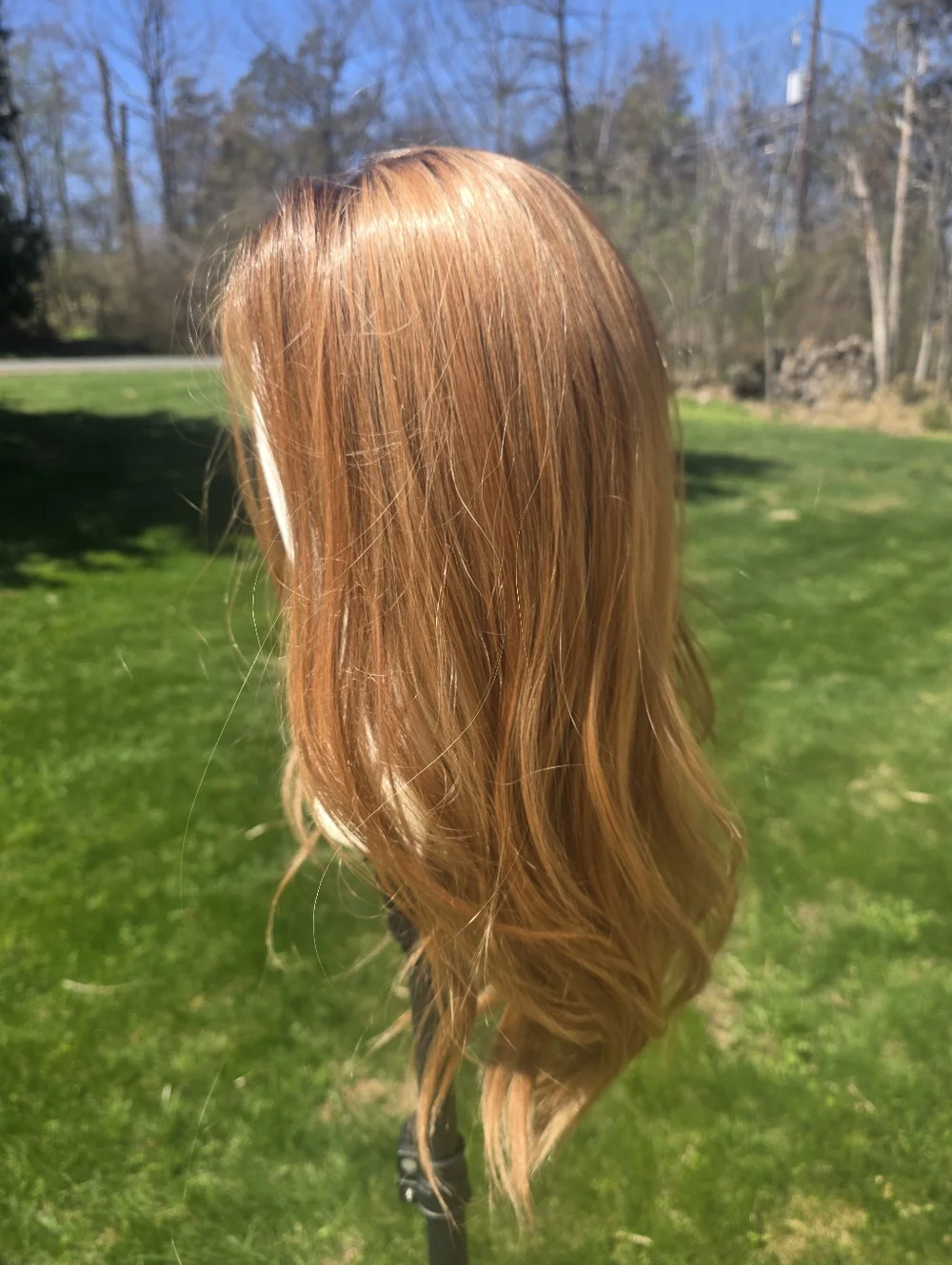 Chelsey Smith Dakota Rich Honey Swiss Lace NWT + CSC winged liner stamp. - Picture 6 of 12